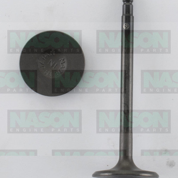 Valve Inlet NISSAN KA24DE IN9150 - NASON