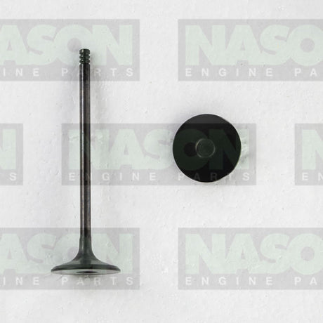 Valve Inlet HOLDEN F18D4 DOHC 16V IN9154 - Nason