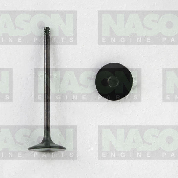 Valve Inlet HOLDEN F18D4 DOHC 16V IN9154 - NASON
