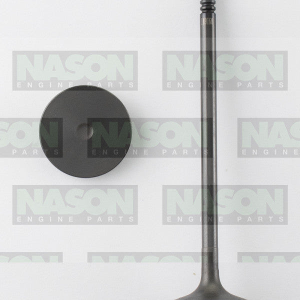 Valve Inlet HOLDEN Z20D1 Z22D1 IN9160 - NASON