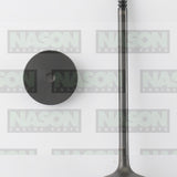 Valve Inlet HOLDEN Z20D1 Z22D1 IN9160 - Nason