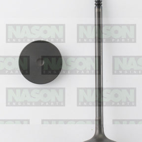 Valve Inlet HOLDEN Z20D1 Z22D1 IN9160 - NASON