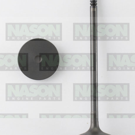 Valve Inlet HOLDEN Z20D1 Z22D1 IN9160 - Nason