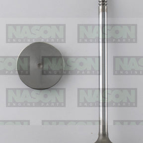 Valve Inlet HOLDEN LWN LWH LVN LKH DIESEL IN9174 - Nason