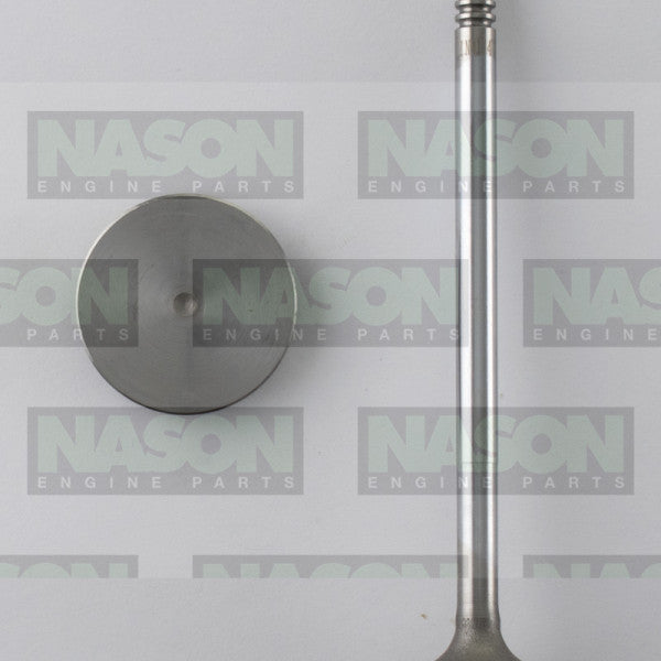 Valve Inlet HOLDEN LWN LWH LVN LKH DIESEL IN9174 - Nason