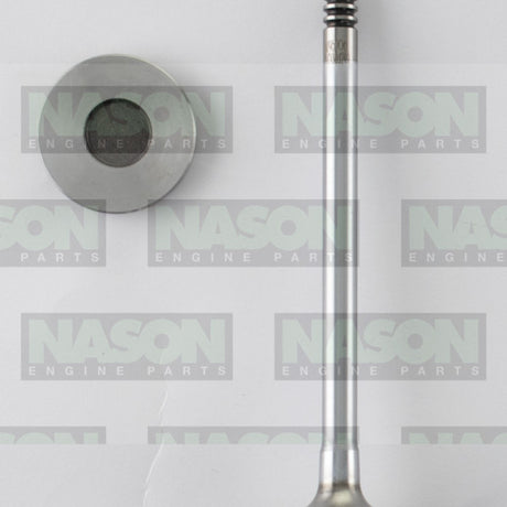 Valve Inlet FORD T8CF DOHC 16V DIESEL IN9180 - FAI