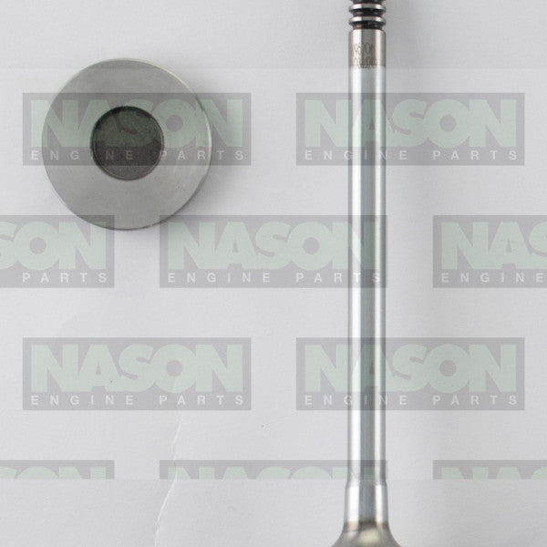 Valve Inlet FORD T8CF DOHC 16V DIESEL IN9180 - FAI