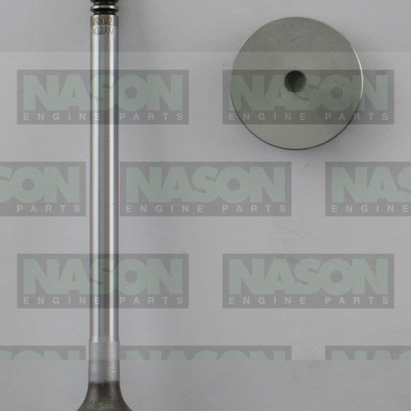 Valve Inlet LAND ROVER/FORD 276DT 306DT V6 IN95042 - FAI