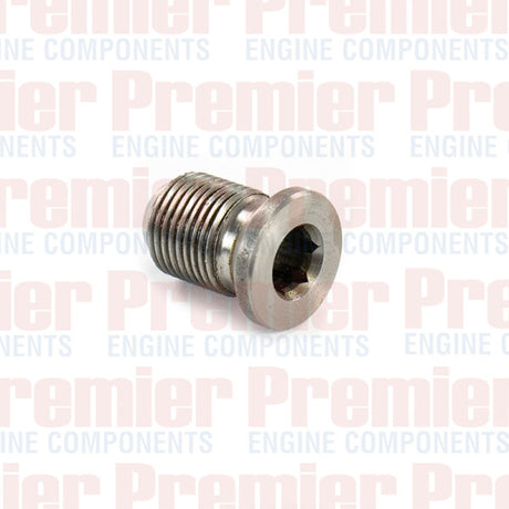 Spark Plug Blanking Plug S/P BLANKING PLUG CA20 Z20 Z24 KV0161 - Premier