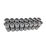 Fit For Holden V8 253 308 304 5.0L Lifters Anti Pump Hydraulic 16PCS LIFTER-CR002-16PCS - Machter