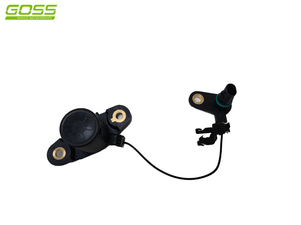 Oil Level Sensor LS138 - Goss