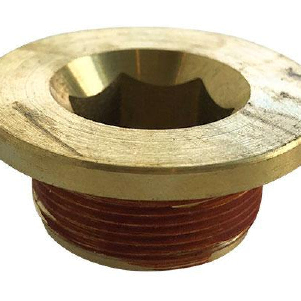 Coolant Plug GM LS COOLANT PLUG LS1663 - SILVER SEAL
