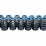 Valve Springs GM L87 6.2L V8 LT1120-16 - SILVER SEAL