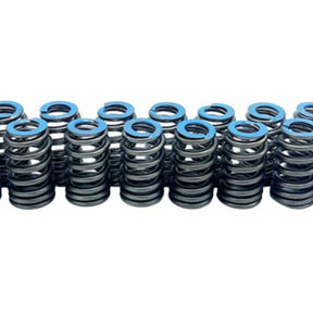 Valve Springs GM L87 6.2L V8 LT1120-16 - SILVER SEAL