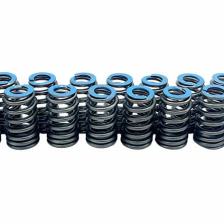 Valve Springs GM L87 6.2L V8 LT1120-16 - SILVER SEAL