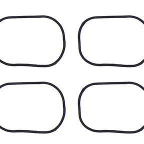 Inlet Manifold BMW N20B20A/B SERIES MS4163 - PERMASEAL