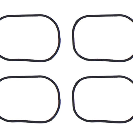 Inlet Manifold BMW N20B20A/B SERIES MS4163 - Permaseal