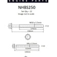 Head Bolt Set FORD MAZDA 3.2 P5AT DIESEL NHBS250 - NASON