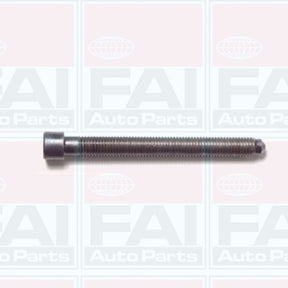 Head Bolt Set VW Audi ADR APT NHBS514 - FAI