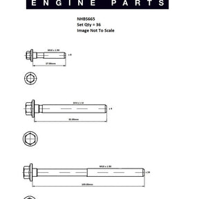 Head Bolt Set CHEVROLET 8.1L V8 NHBS665 - ENGINE PRO
