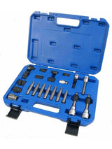 22 Piece Over Run Alternator Pulley Installation Kit Oap - OAPTK002 - DAYCO | Universal Auto Spares