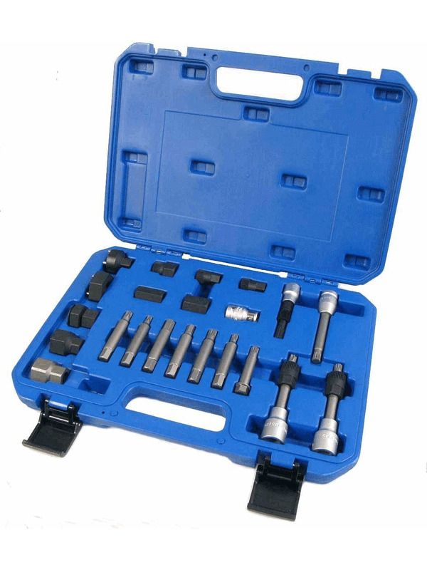 22 Piece Over Run Alternator Pulley Installation Kit Oap - OAPTK002 - DAYCO | Universal Auto Spares