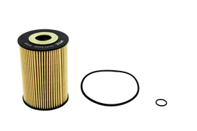 Oil Filter R2593P/WR2593P OLFL0026 - NTK | Universal Auto Spares