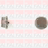 Oil Pump AUSTIN ROVER OP107 - FAI