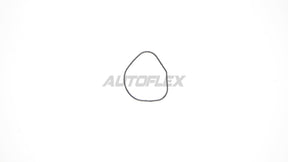 Oil Pump Gasket OPG001 - AUTOFLEX