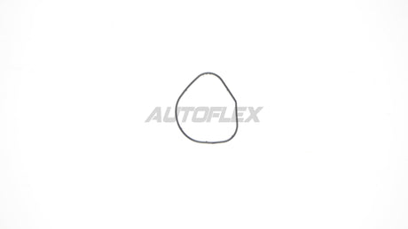 Oil Pump Gasket OPG001 - AUTOFLEX
