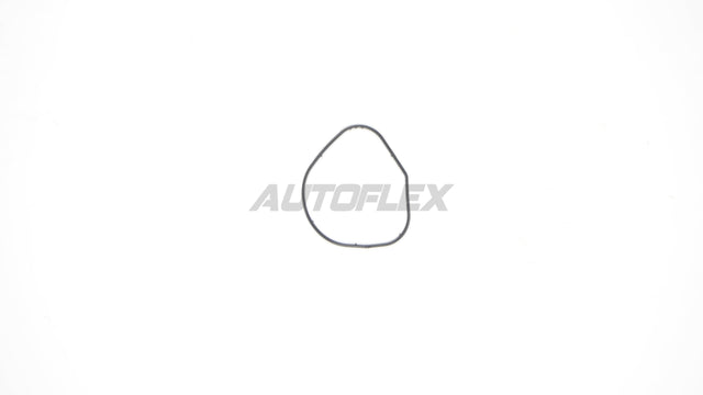 Oil Pump Gasket OPG001 - AUTOFLEX