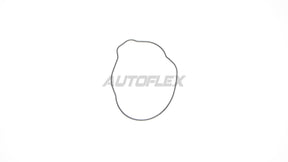 Oil Pump Gasket OPG003 - AUTOFLEX