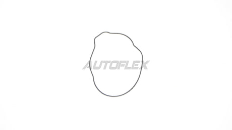 Oil Pump Gasket OPG003 - AUTOFLEX
