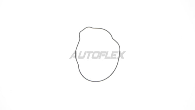 Oil Pump Gasket OPG003 - AUTOFLEX