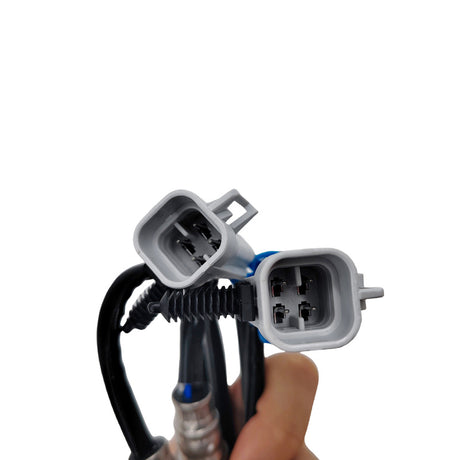 2 x O2 Oxygen Oxy Sensors Fit For Holden Rodeo RA 6VE1 3.5L Frontera V6D1 3.2L - Machter