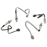 4 Pcs O2 Oxygen Sensor Fit For Holden Commodore VE SV6 Omega 3.6L 2006-2011 OX-HLN007-4PCS - Machter