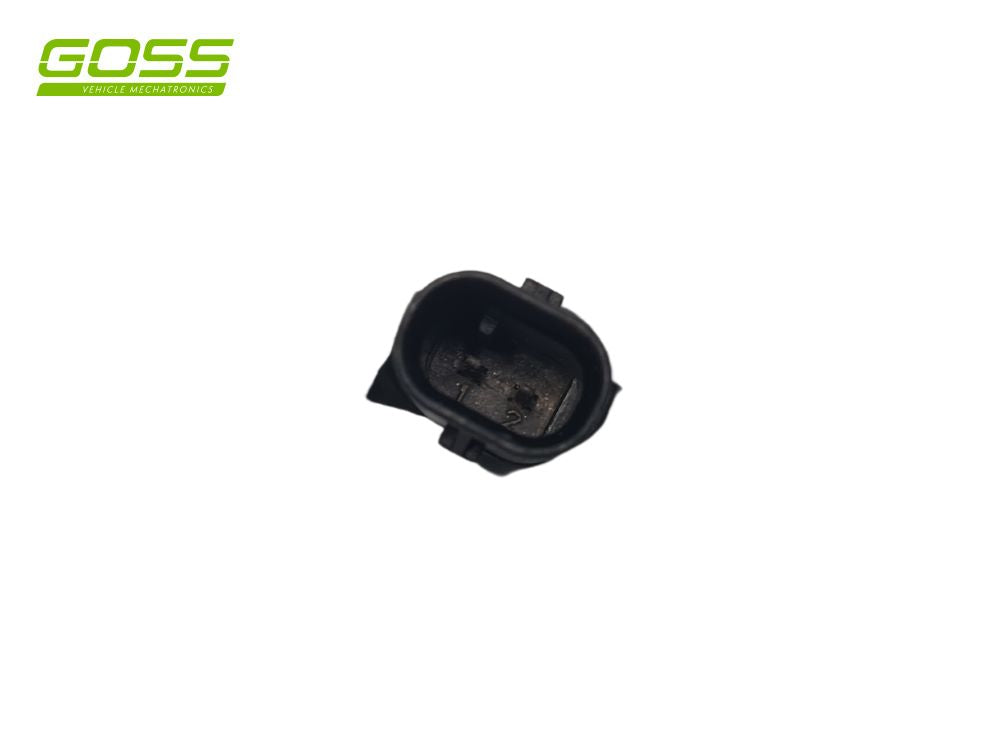Direct Injection New PID066 - Goss