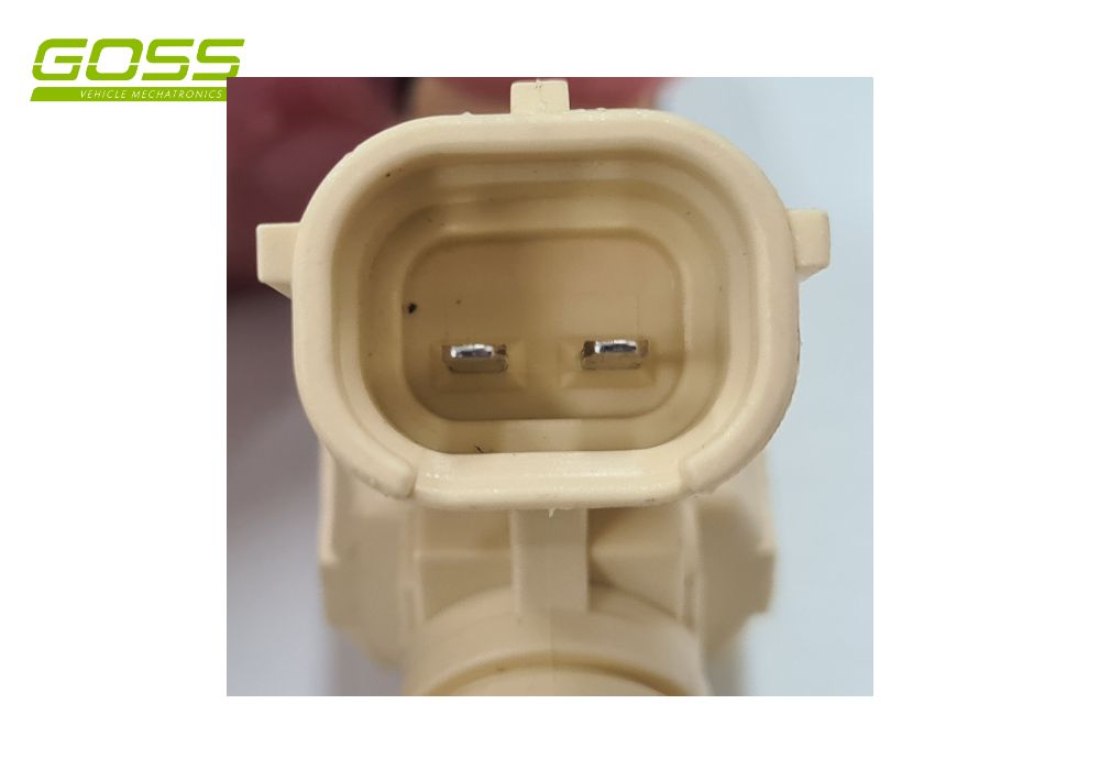 Fuel Injector Hyundai PIN613 - Goss