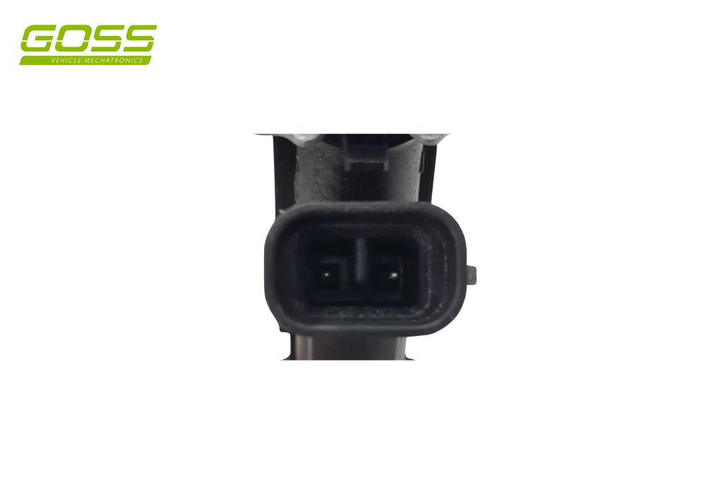 Fuel Injector Holden PIN922 - Goss