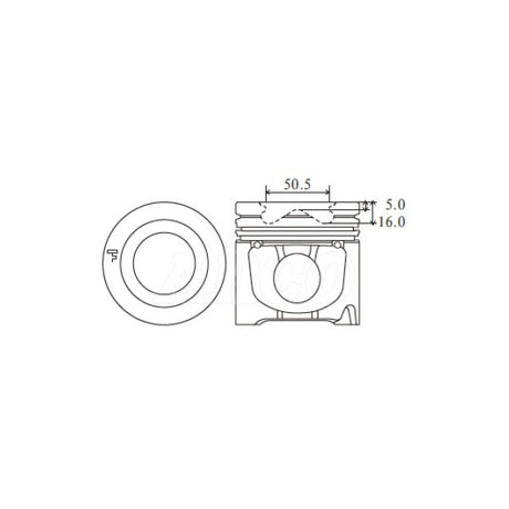 Piston & Ring Set IVECO/FIAT F1CE0481 PKIF1CE0481-STD - Nason