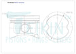 Toyota 1FZFE Piston Set PO773 020 - Austral | Universal Auto Spares