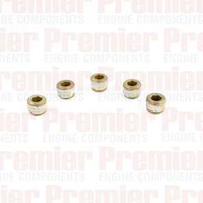 Pipe Plug PIPE PLUG STEEL M10-1.0 METRIC PPS3002-5 - PREMIER