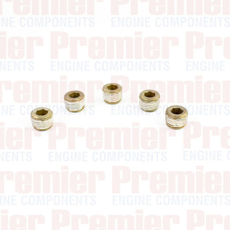 Pipe Plug PIPE PLUG STEEL M10-1.0 METRIC PPS3002-5 - Premier