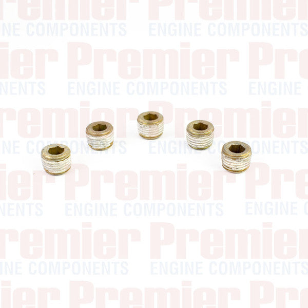 Pipe Plug PIPE PLUG STEEL M10-1.0 METRIC PPS3002-5 - PREMIER