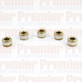 Pipe Plug PIPE PLUG STEEL M14-1.5 METRIC PPS3004-5 - PREMIER