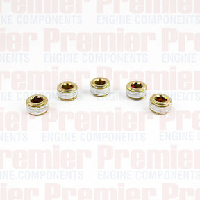 Pipe Plug PIPE PLUG STEEL M16-1.5 METRIC PPS3005-5 - PREMIER