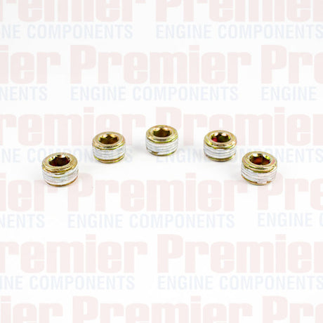 Pipe Plug PIPE PLUG STEEL M16-1.5 METRIC PPS3005-5 - Premier