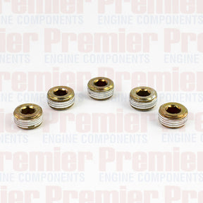 Pipe Plug PIPE PLUG STEEL M18-1.5 METRIC PPS3006-5 - PREMIER