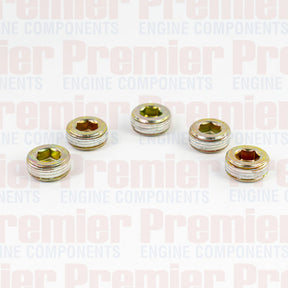 Pipe Plug PIPE PLUG STEEL M20-1.5 METRIC PPS3007-5 - PREMIER