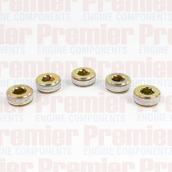 Pipe Plug PIPE PLUG STEEL M22-1.5 METRIC PPS3008-5 - PREMIER
